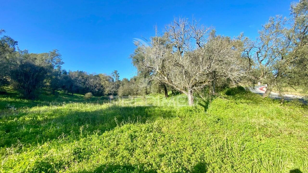 Terreno para Venda em Rio Maior Foto 2