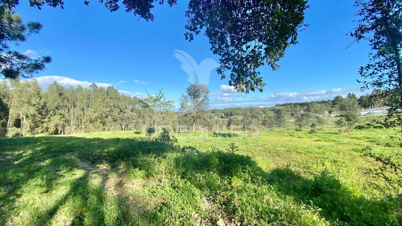 Terreno para Venda em Rio Maior Foto 6