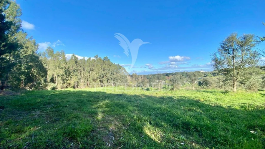 Terreno para Venda em Rio Maior Foto 7