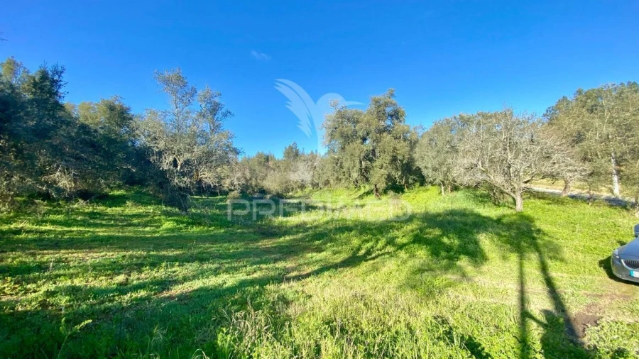 Terreno para Venda em Rio Maior Foto 4