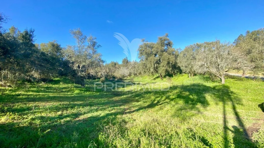 Terreno para Venda em Rio Maior Foto 3