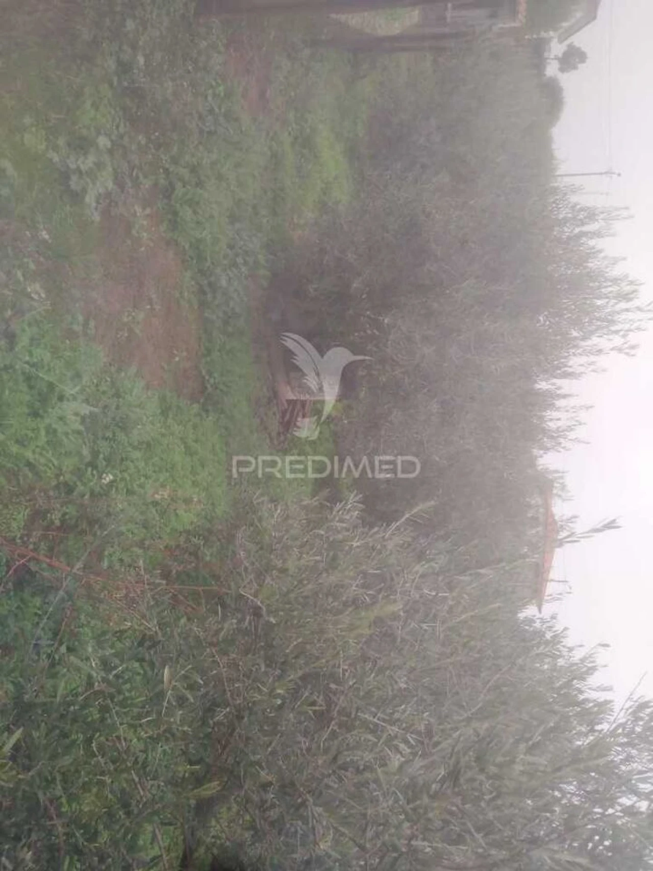 Terreno para Venda em Fontelo Foto 17