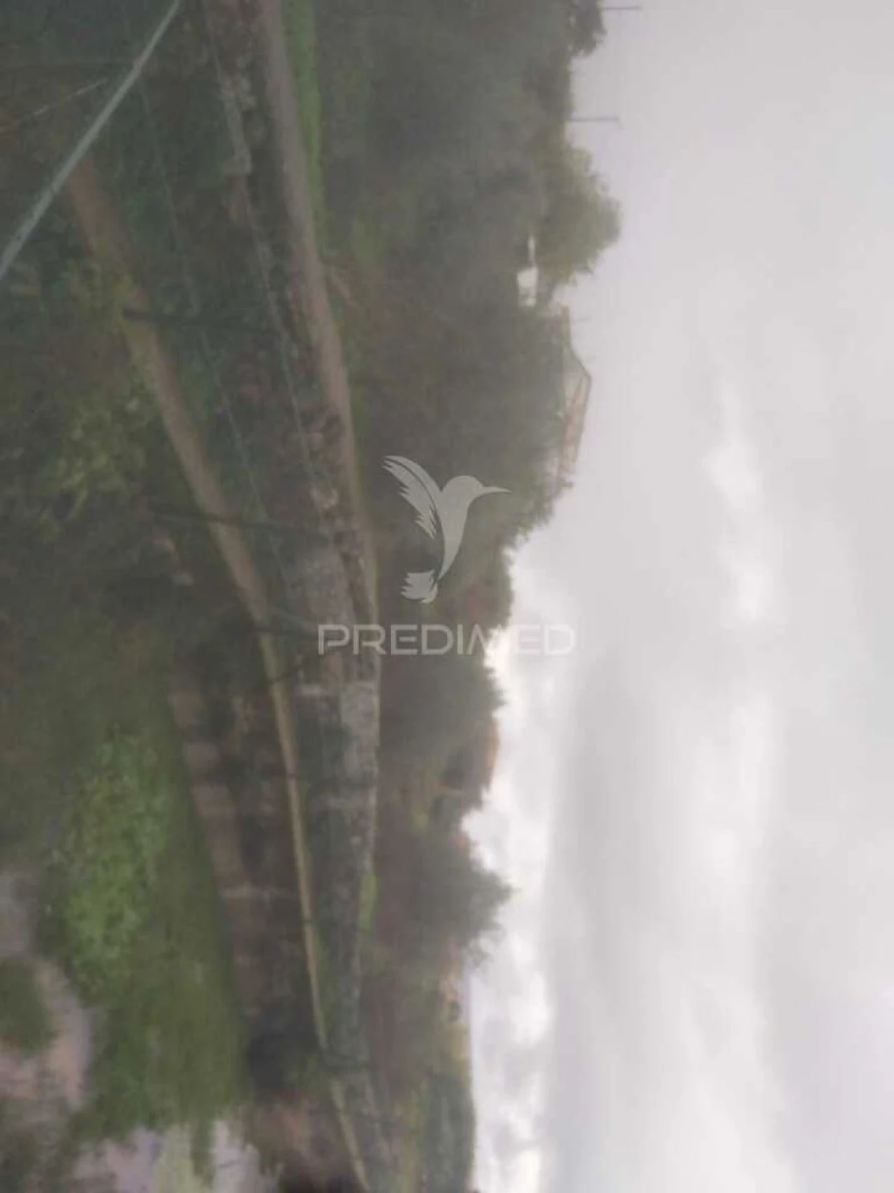 Terreno para Venda em Fontelo Foto 11