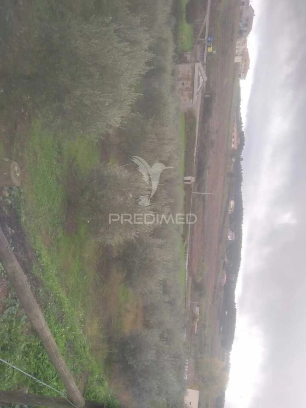 Terreno para Venda em Fontelo Foto 13