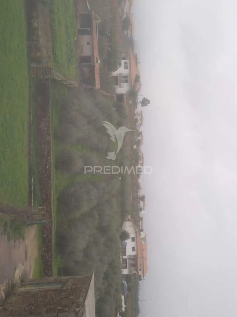 Terreno para Venda em Fontelo Foto 5