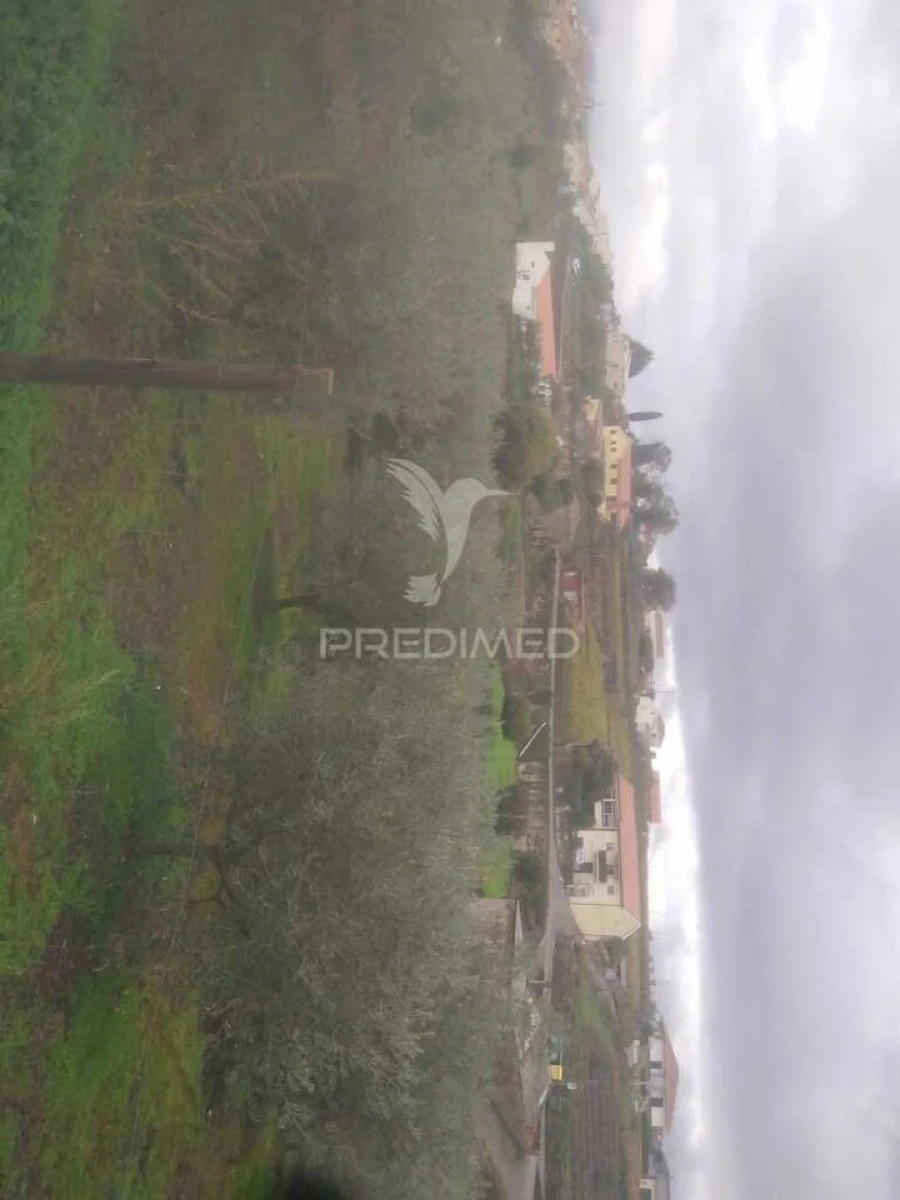 Terreno para Venda em Fontelo Foto 4