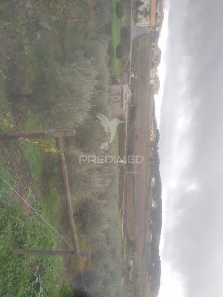 Terreno para Venda em Fontelo Foto 9