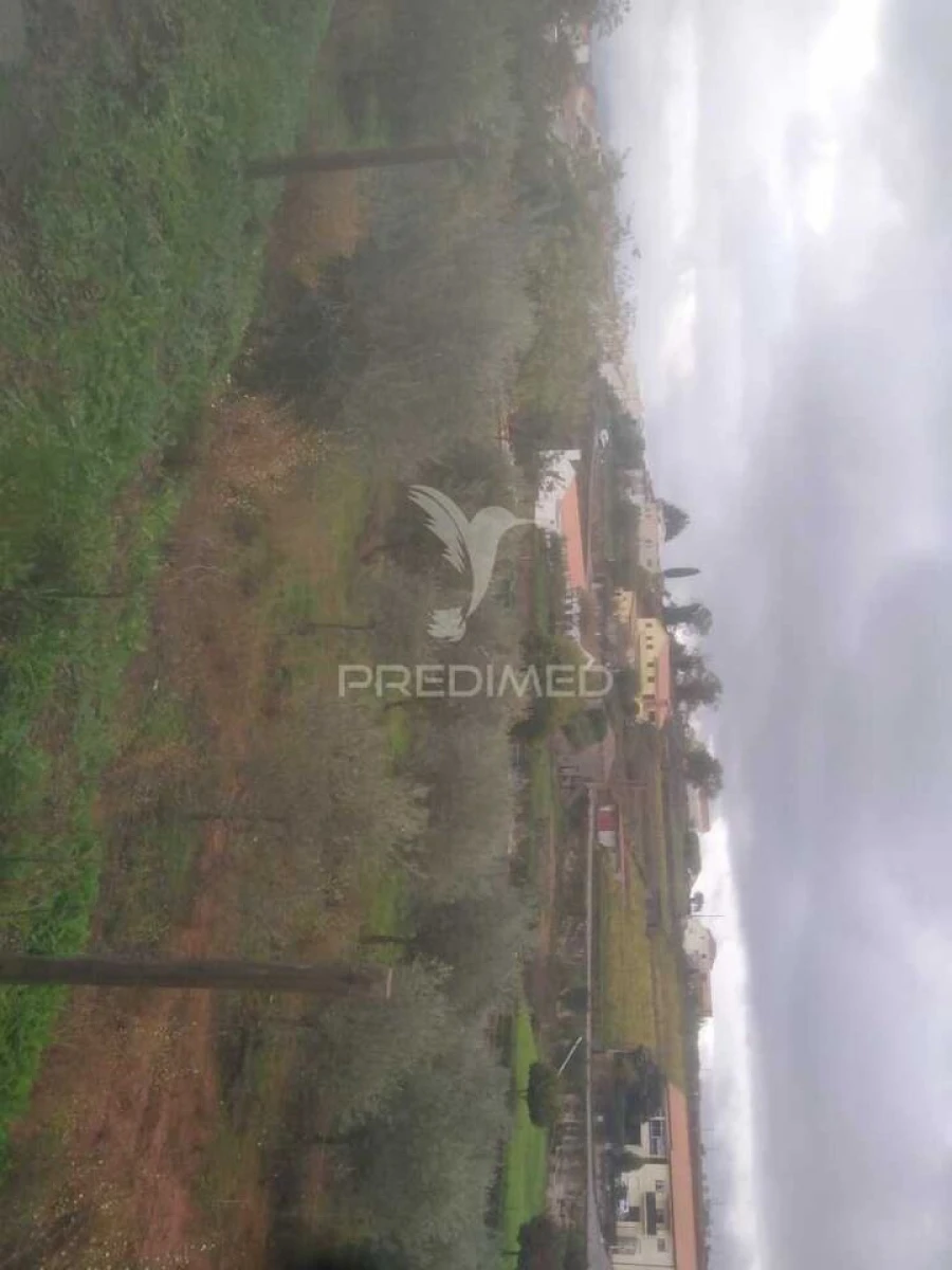 Terreno para Venda em Fontelo Foto 12