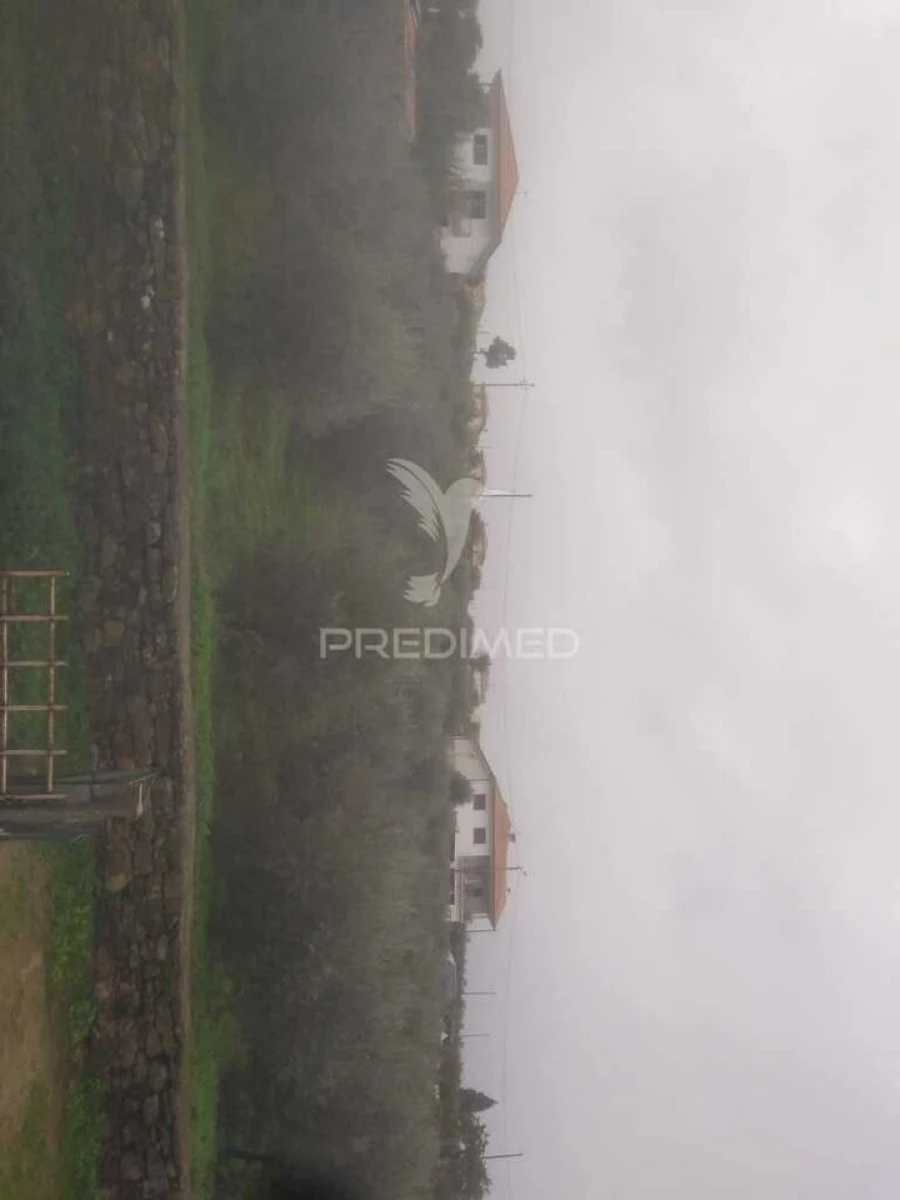 Terreno para Venda em Fontelo Foto 3