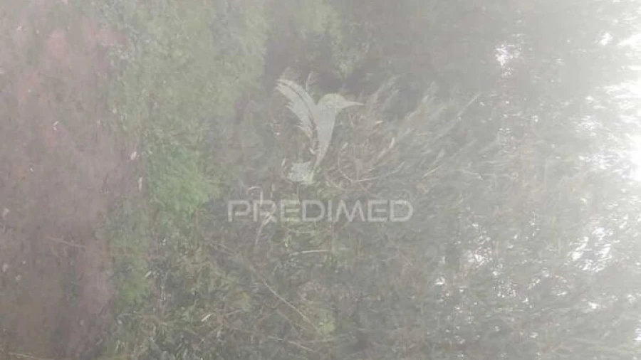 Terreno para Venda em Fontelo