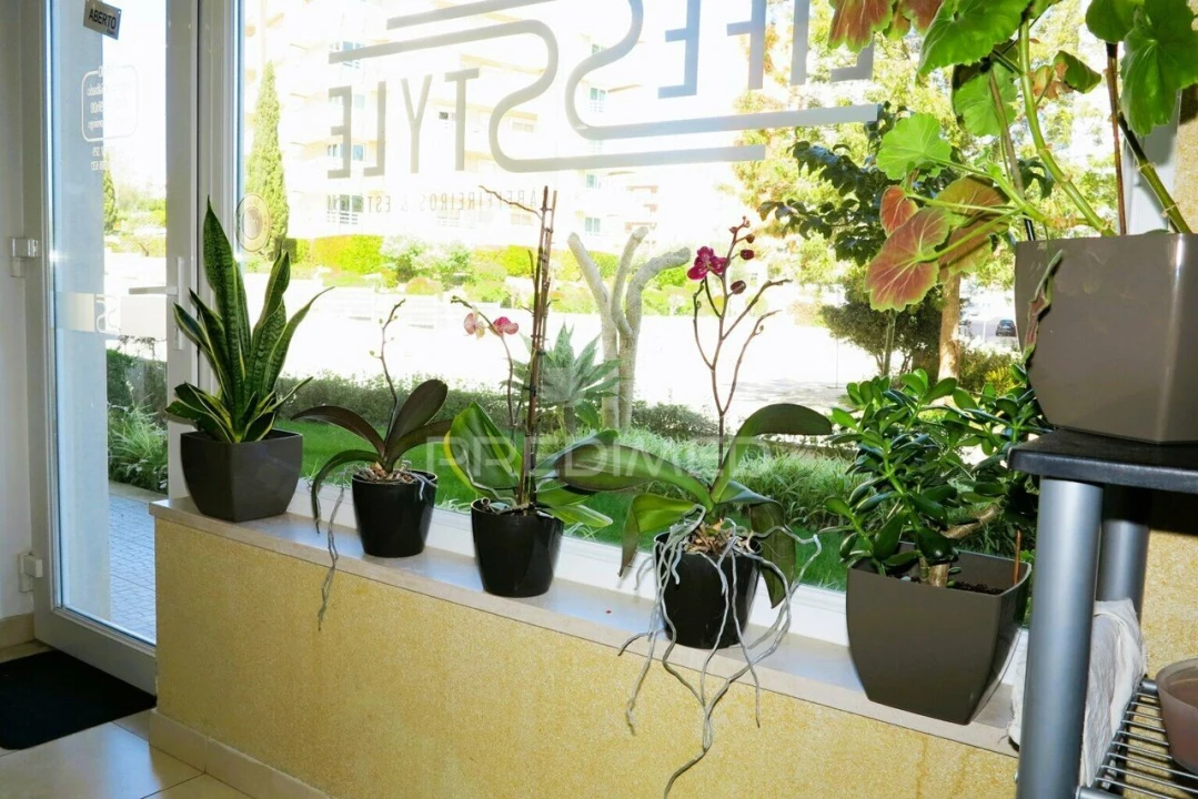 Loja para Venda em Portimão Foto 12