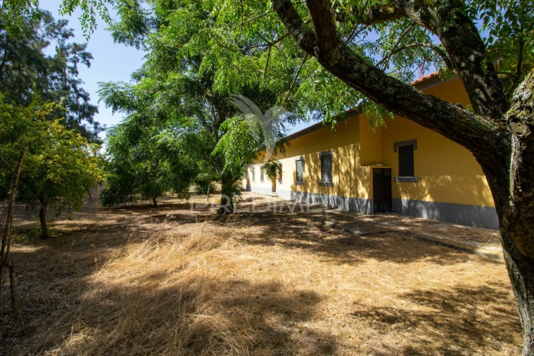 Moradia T6 para Venda em Palmela Foto 12