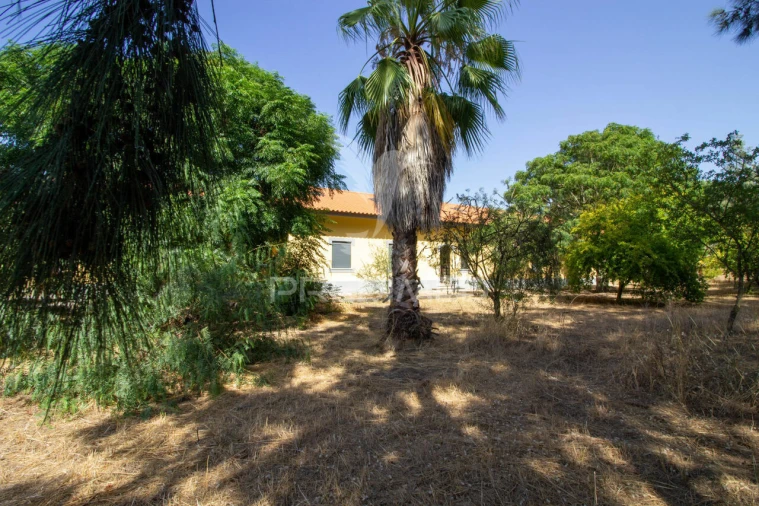 Moradia T6 para Venda em Palmela Foto 11