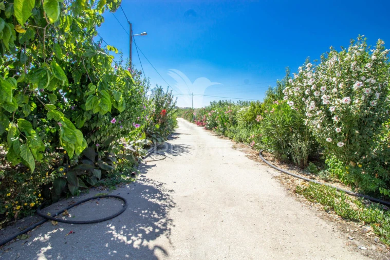 Quinta T3 para Venda em Poceirão e Marateca Foto 16