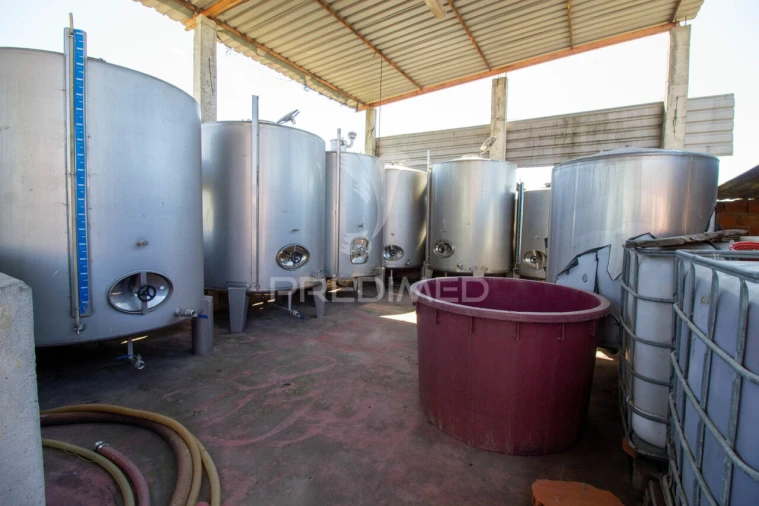 Quinta T3 para Venda em Poceirão e Marateca Foto 9