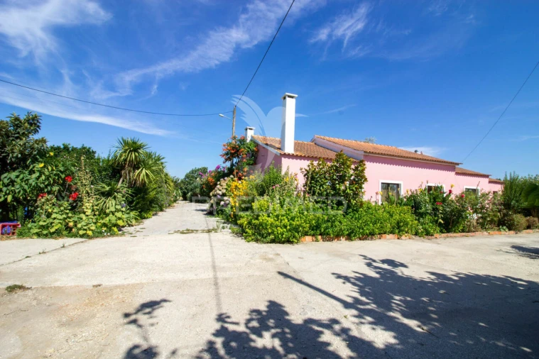 Quinta T3 para Venda em Poceirão e Marateca Foto 6