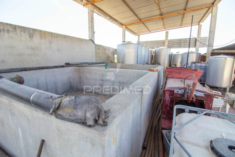 Quinta T3 para Venda em Poceirão e Marateca Foto 11