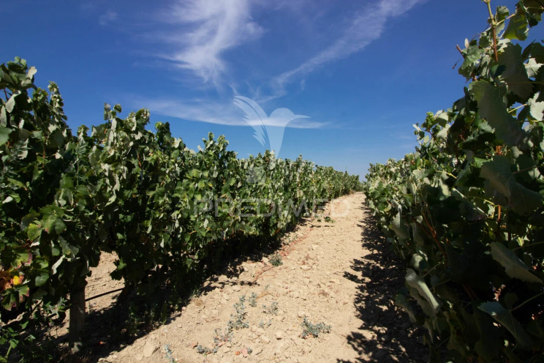 Quinta T3 para Venda em Poceirão e Marateca Foto 18