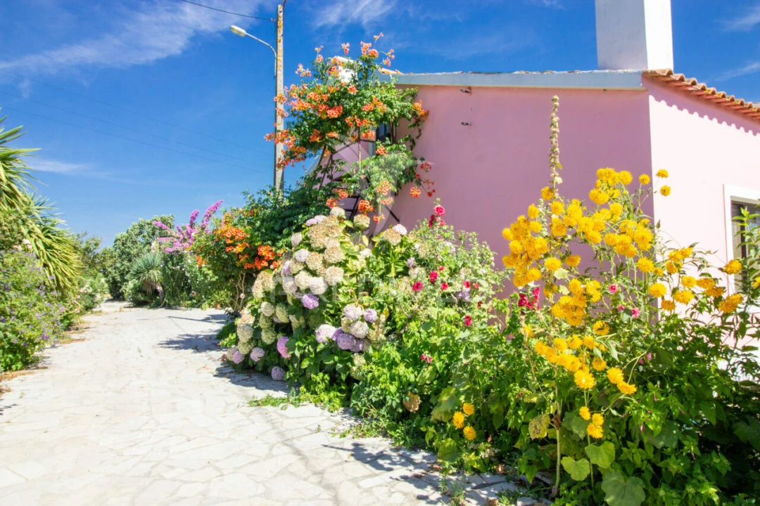 Quinta T3 para Venda em Poceirão e Marateca Foto 5