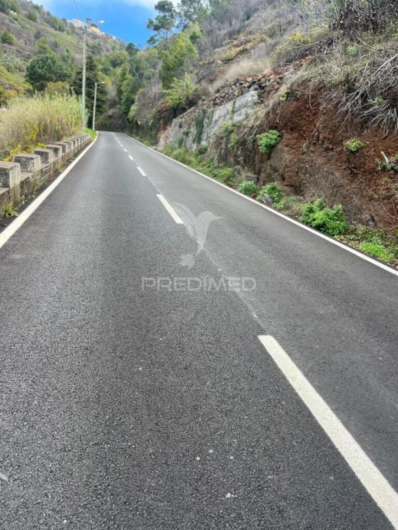 Terreno para Venda em Fajã da Ovelha Foto 2