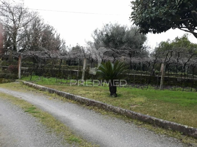 Moradia T7 para Venda em Rebordões (Santa Maria) Foto 2