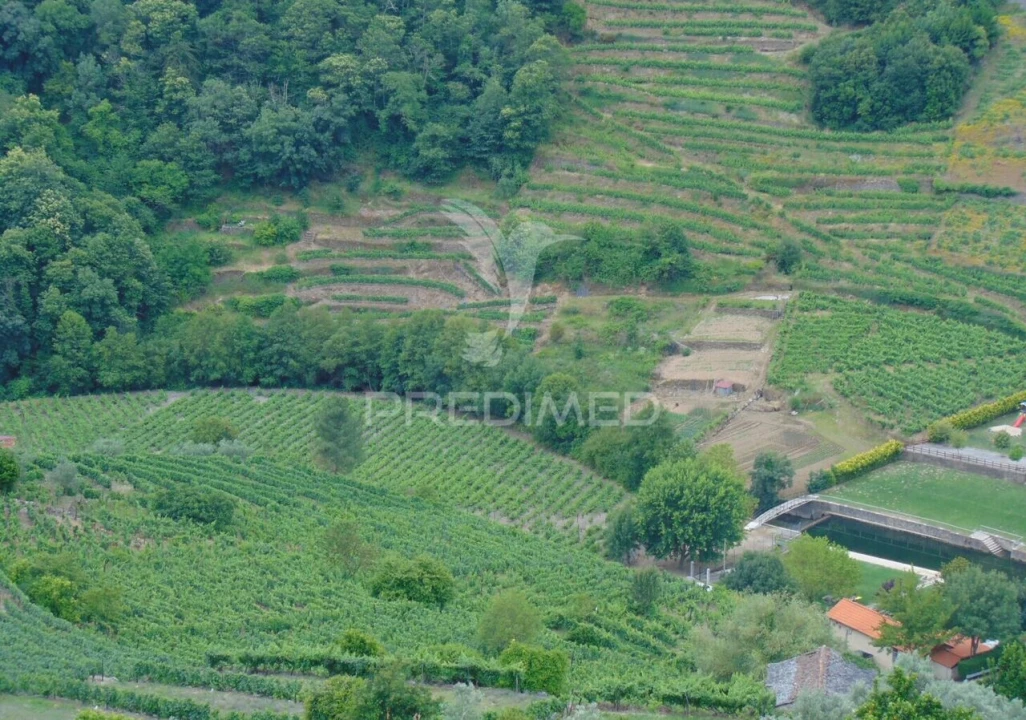 Quinta T8 para Venda em Cumieira Foto 39