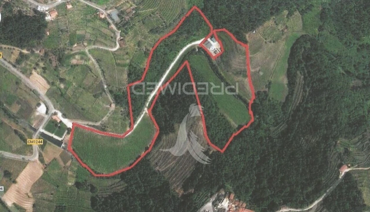 Quinta T8 para Venda em Cumieira Foto 26