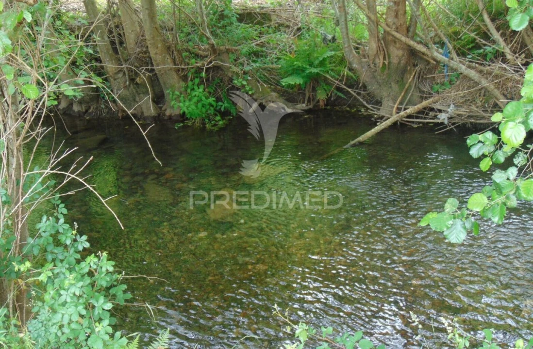 Quinta T8 para Venda em Cumieira Foto 32