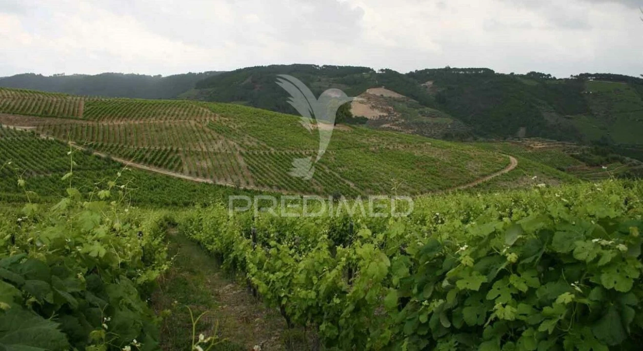 Quinta T8 para Venda em Cumieira Foto 22