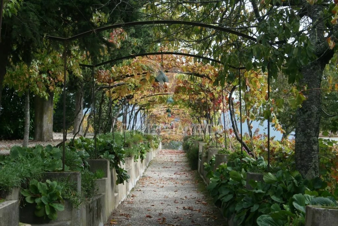 Quinta T8 para Venda em Cumieira Foto 16