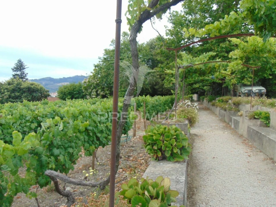 Quinta T8 para Venda em Cumieira Foto 17