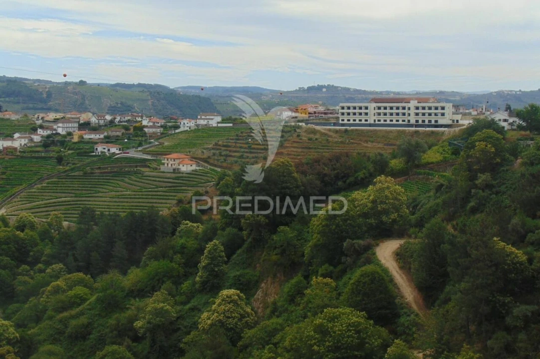 Quinta T8 para Venda em Cumieira Foto 24