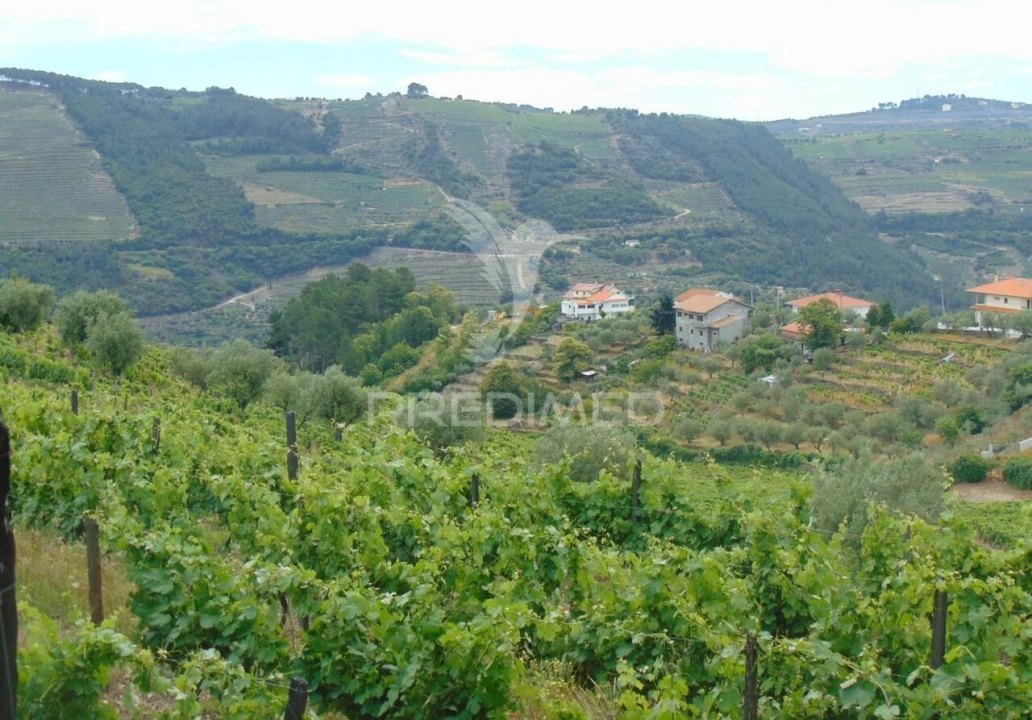 Quinta T8 para Venda em Cumieira Foto 23