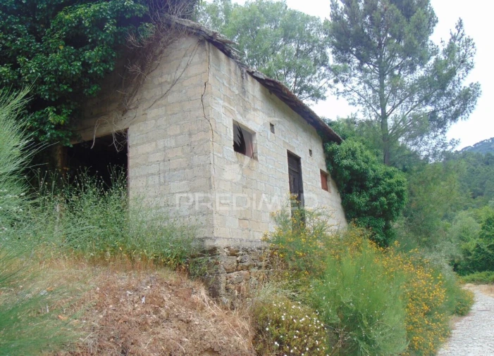 Quinta T8 para Venda em Cumieira Foto 28