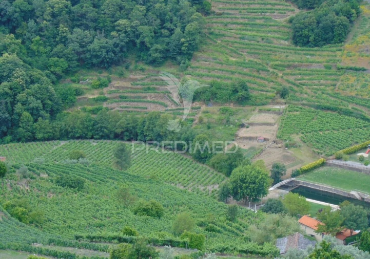 Quinta T8 para Venda em Cumieira Foto 39
