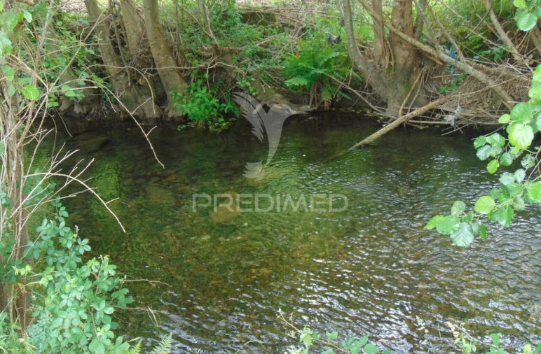 Quinta T8 para Venda em Cumieira Foto 32