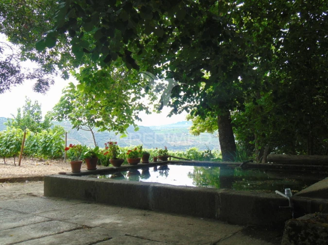 Quinta T8 para Venda em Cumieira Foto 20