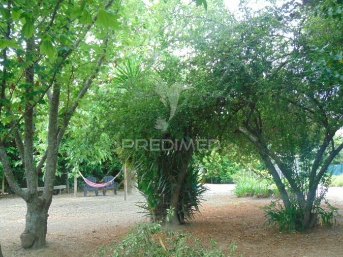 Quinta T8 para Venda em Cumieira Foto 21