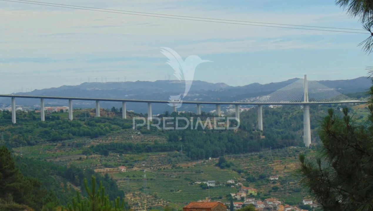 Quinta T8 para Venda em Cumieira Foto 25