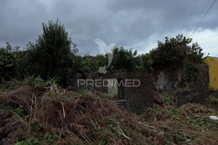 Moradia T1 para Venda em Norte Grande (Neves) Foto 5