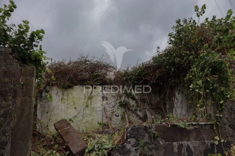 Moradia T1 para Venda em Norte Grande (Neves) Foto 6