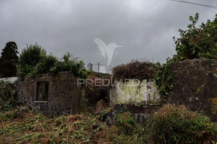 Moradia T1 para Venda em Norte Grande (Neves) Foto 3