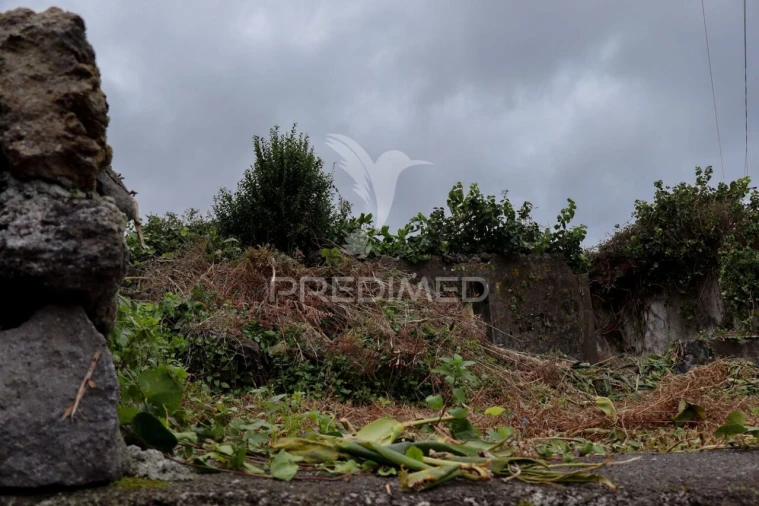 Moradia T1 para Venda em Norte Grande (Neves) Foto 12