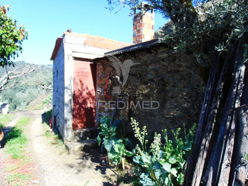 Terreno para Venda em Abaças Foto 23