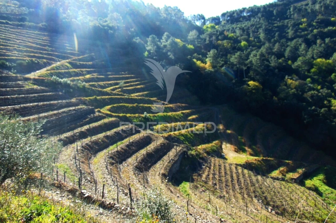 Terreno para Venda em Abaças Foto 15