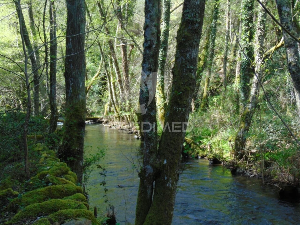 Terreno para Venda em Abaças Foto 38