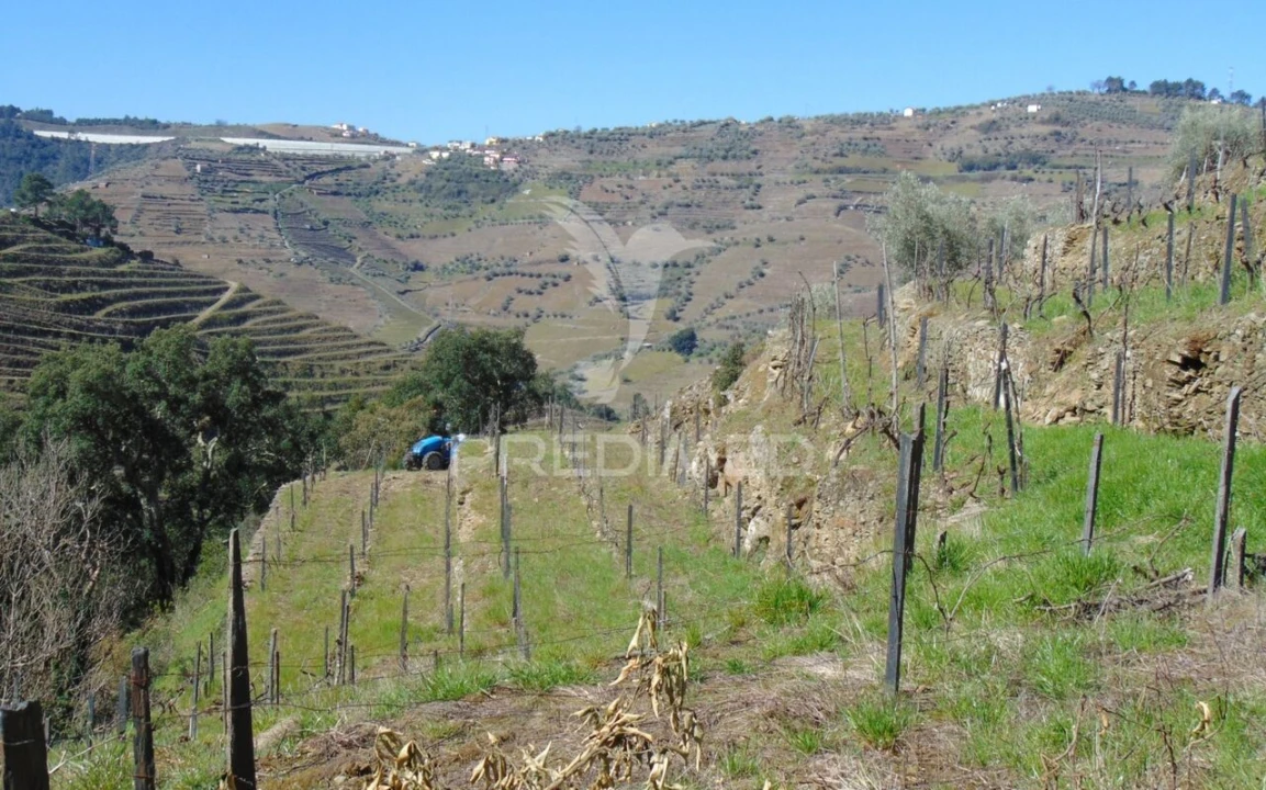 Terreno para Venda em Abaças Foto 32