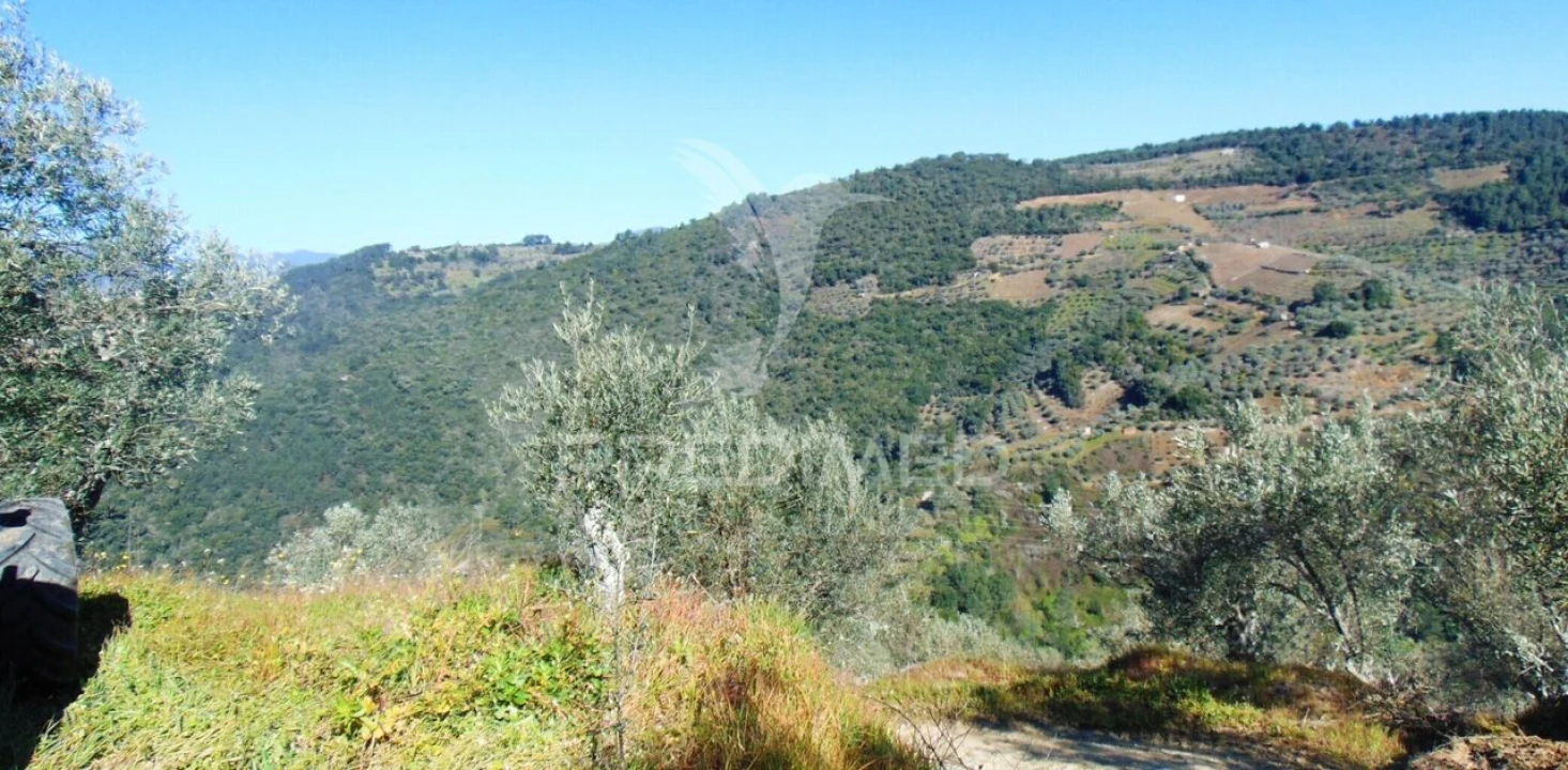 Terreno para Venda em Abaças Foto 7