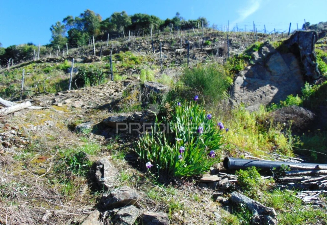 Terreno para Venda em Abaças Foto 29