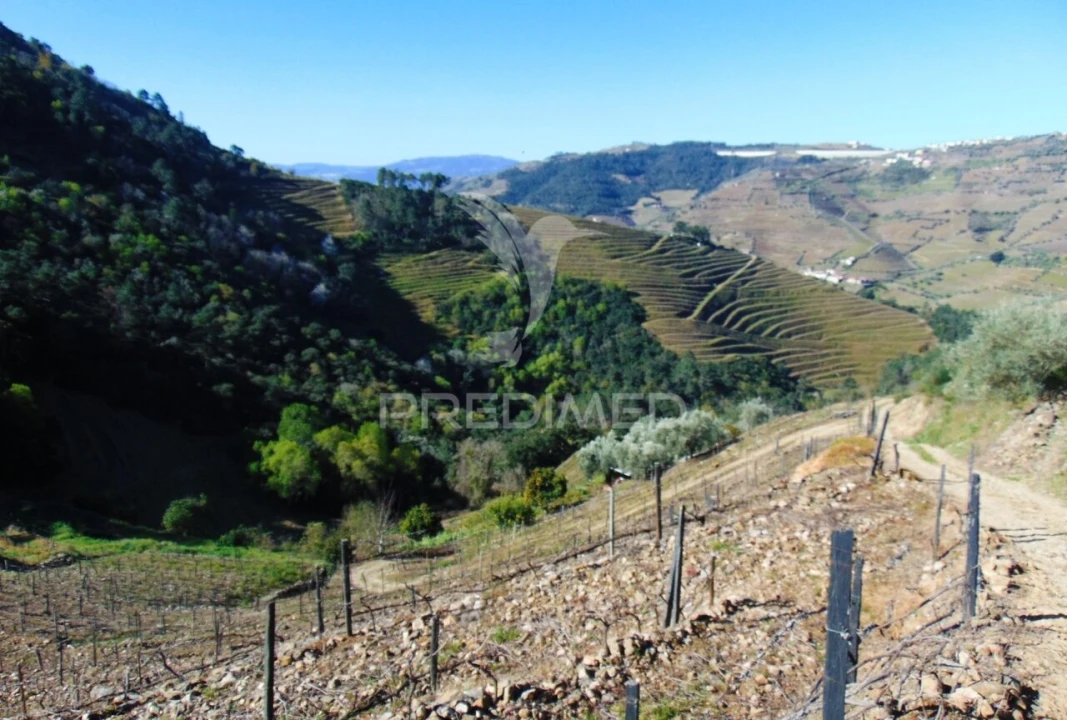 Terreno para Venda em Abaças Foto 1
